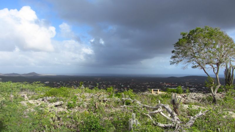 Ausblick auf Bonaire