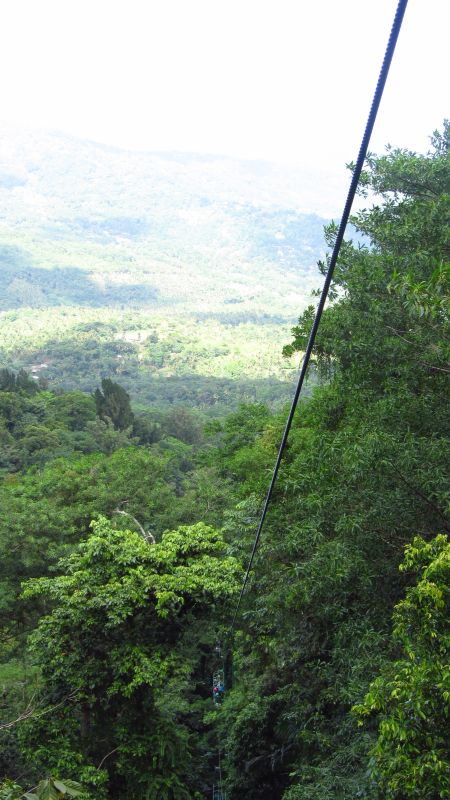 Regenwald Seilbahn