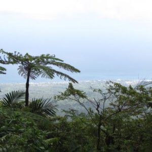 Aussicht La Soufriere