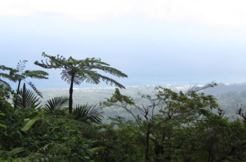 Aussicht La Soufriere