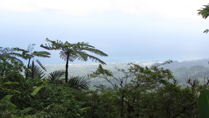 Aussicht La Soufriere