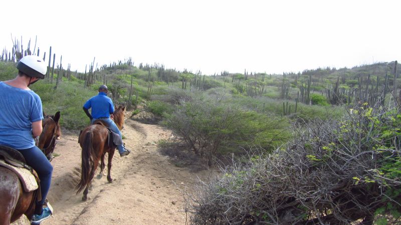 Westernreiten auf Aruba