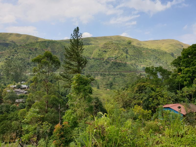 Aussichten Zugfahrt nach Nano Oya