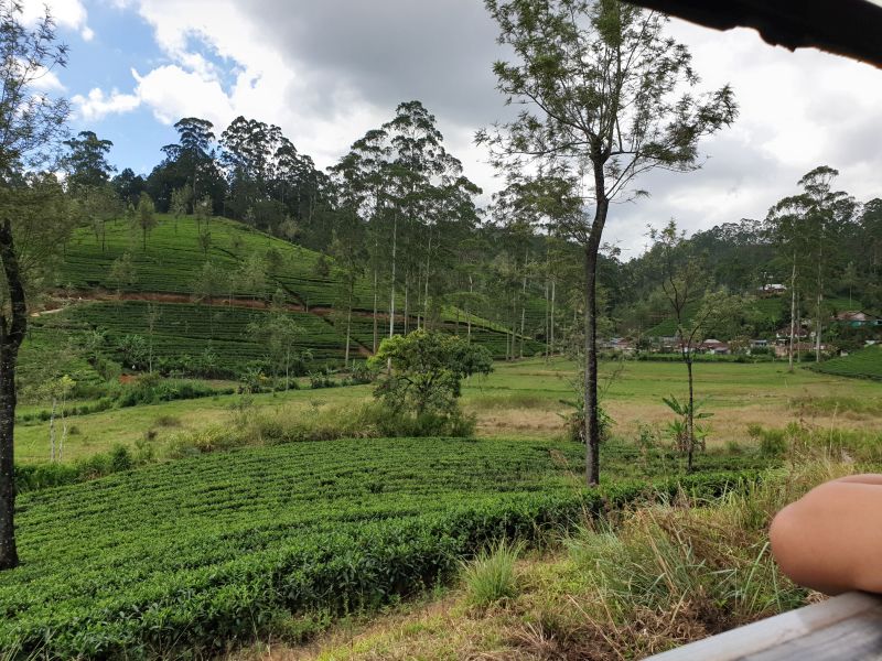 Zugfahrt Sri Lanka Panorama