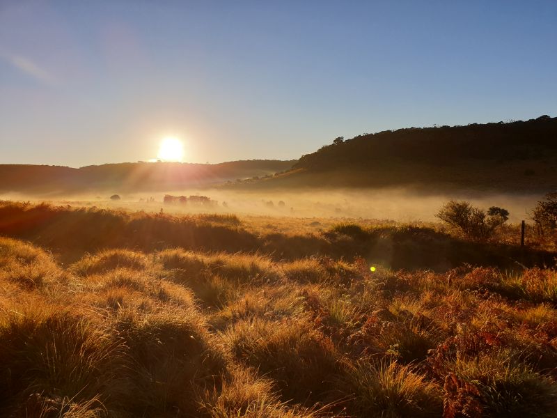 Horton Plains Sonnenaufgang
