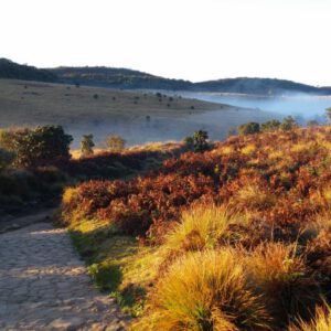 Horton Plains Nationalpark Sonnenaufgang