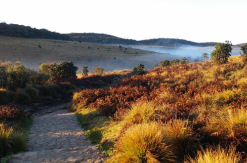 Horton Plains Nationalpark Sonnenaufgang