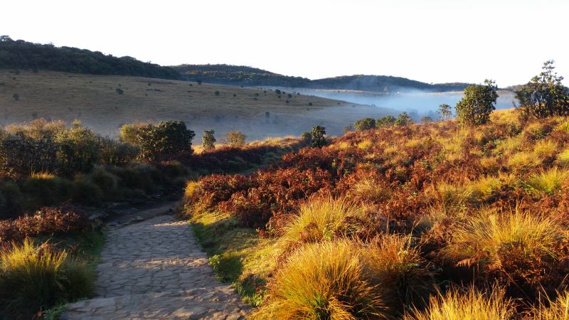 Horton Plains Nationalpark Sonnenaufgang