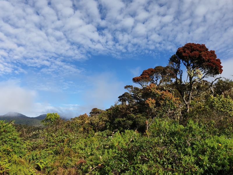 Horton Plains Park