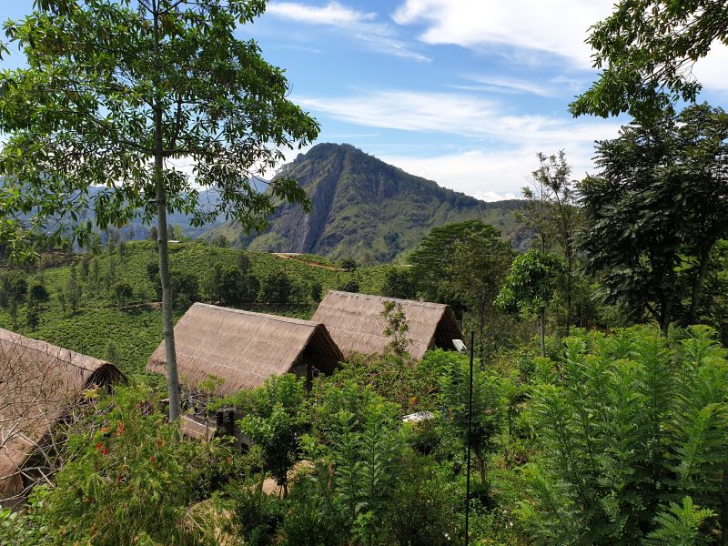 Little Adams Peak Bungalows Wanderung Sri Lanka