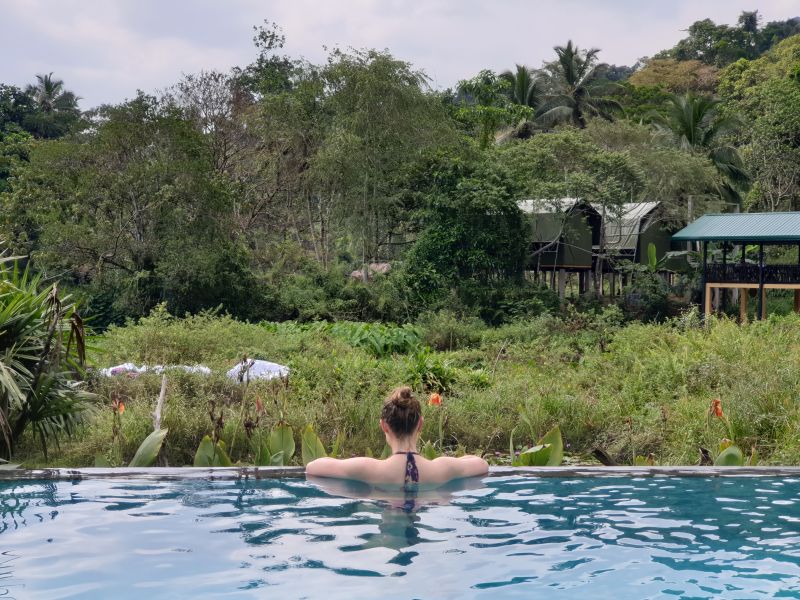 Sinharaja Rainforest