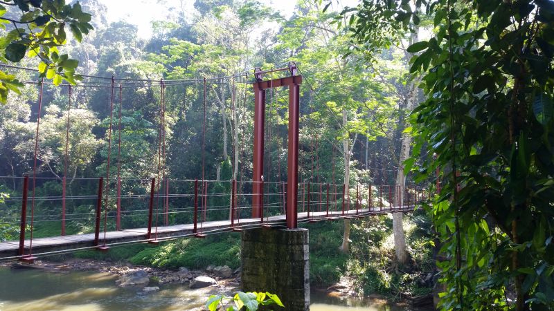 Regenwaldwanderung Sinharaja Rainforest Sri Lanka