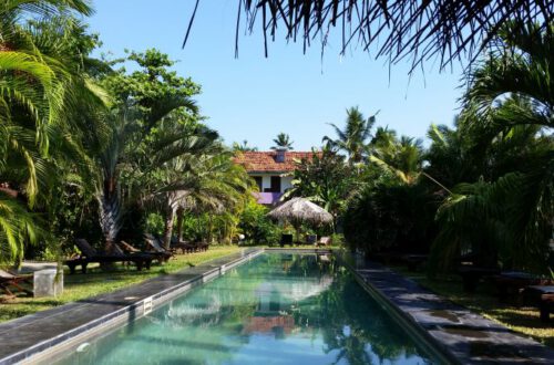 Südküste Sri Lanka -Poolauszeit Walgama Hotel Sri Lanka