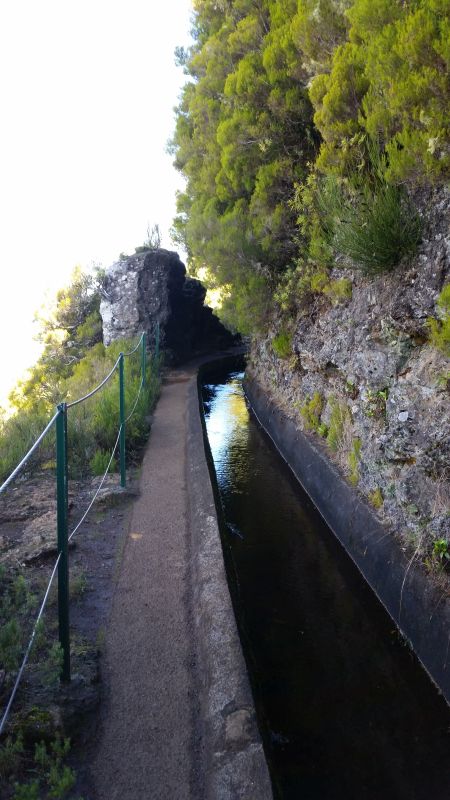 Wandern auf Madeira Levada Rabacal