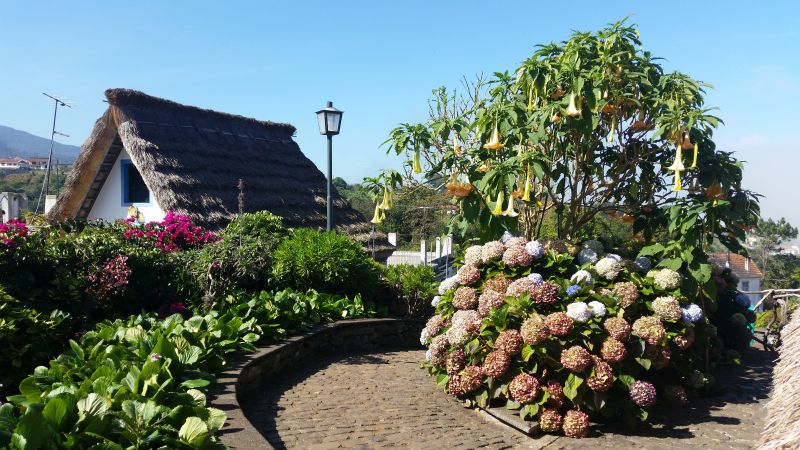 Typische Häuser in Santana