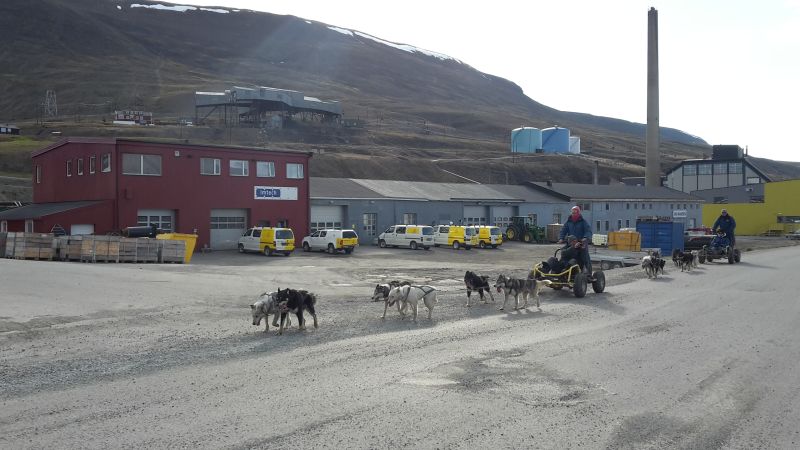 Hundeschlitten Spitzbergen