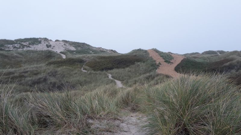 Nationalpark Thy Nordjütland