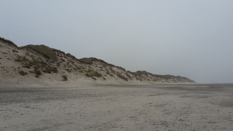 Strand und Dünen bei Hvide Sande