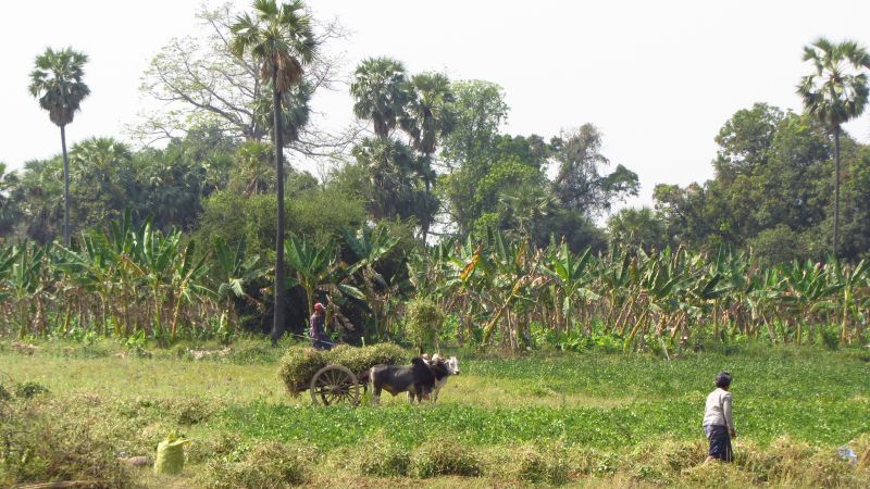 Landleben um Mandalay