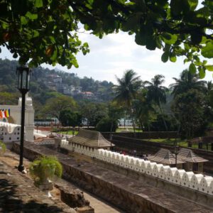 Zahntempel Kandy Besuch in den Gärten Sri Lanka