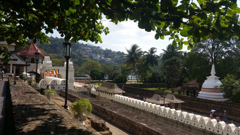 Zahntempel Kandy Besuch in den Gärten Sri Lanka