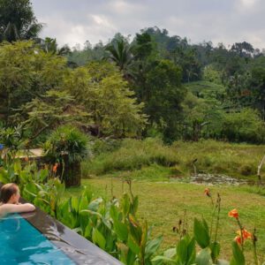 Regenwald Sri Lanka Sinharaja