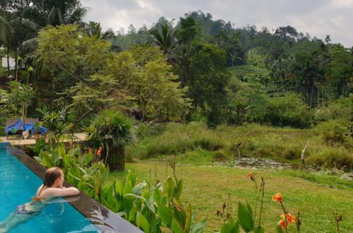 Regenwald Sri Lanka Sinharaja