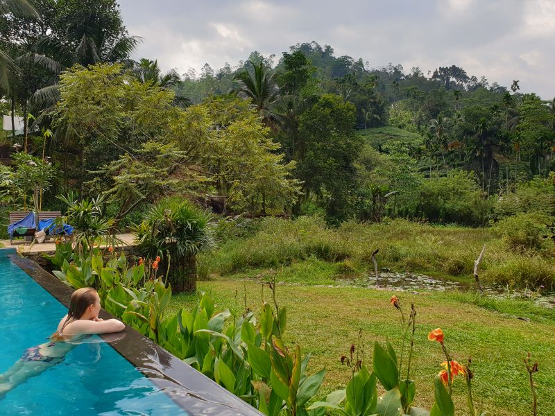 Regenwald Sri Lanka Sinharaja