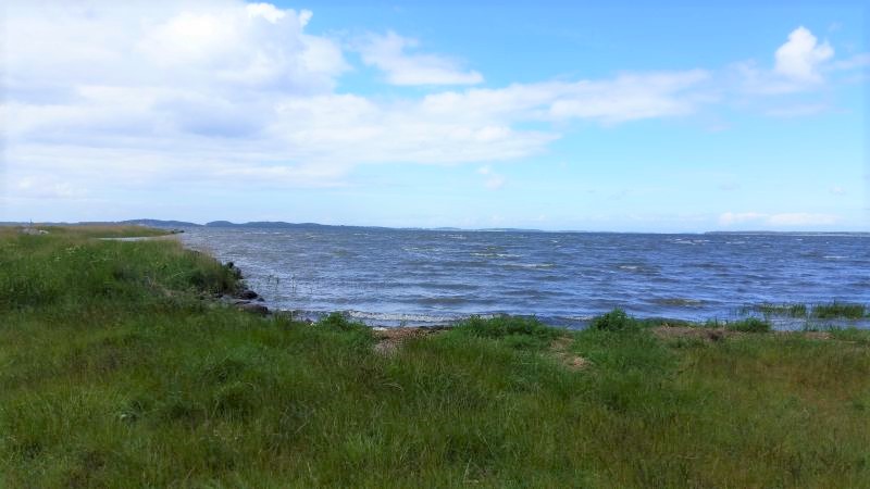 Kiterevier am Martinshafen