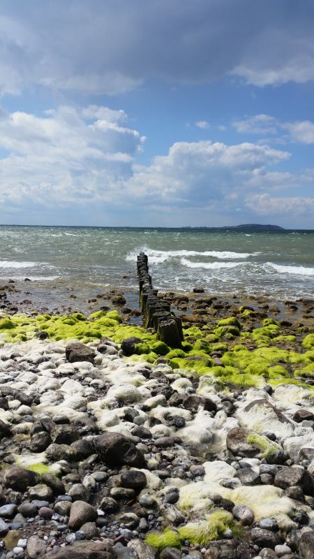Meerblick genießen bei Dranske