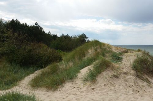 Rundwanderung Küste Dranske Rügen nach Kreptitz