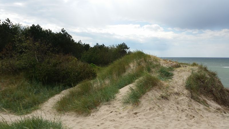 Rundwanderung Küste Dranske Rügen nach Kreptitz