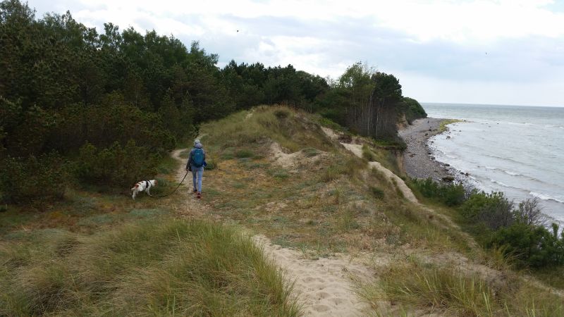 Wanderung an der Küste am Wald