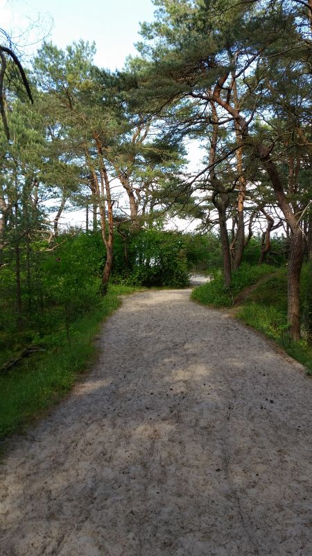 Weg zum Sandstrand von Glowe