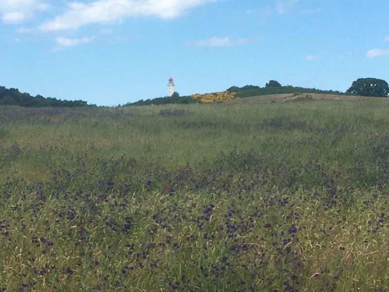 Leuchtturm Dornbusch auf Insel Hiddensee
