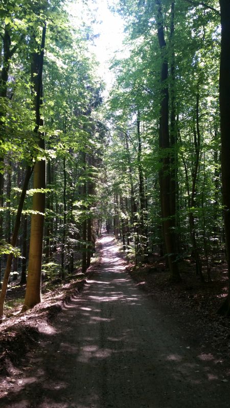 Radweg Zempin Koserow Kölpinsee