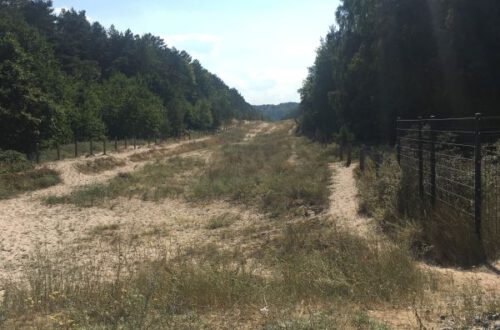 Offene grüne Grenze