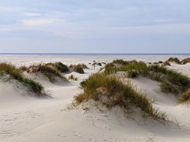 Kniepstrand 1 Tag auf Amrum