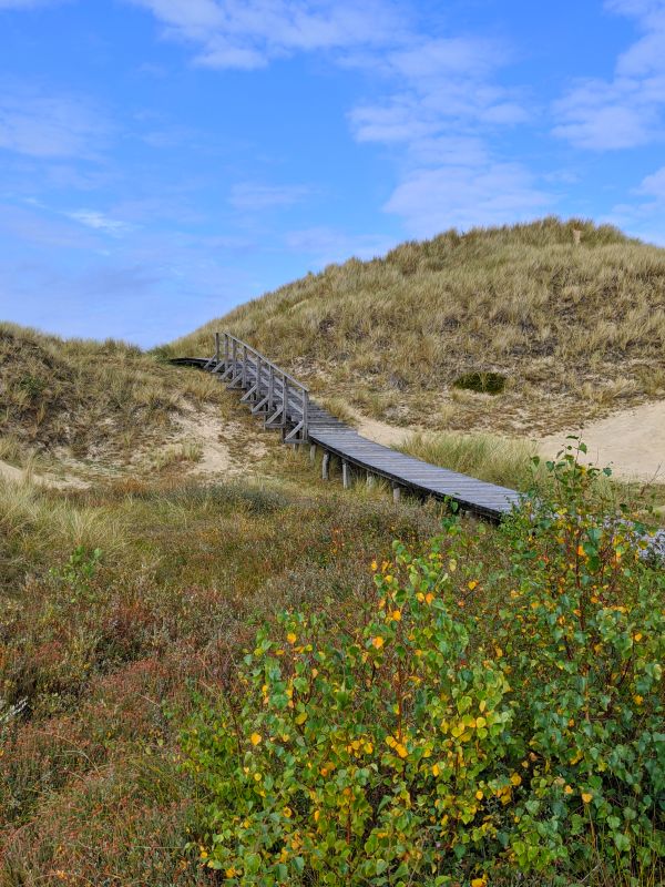 Wanderweg Amrum