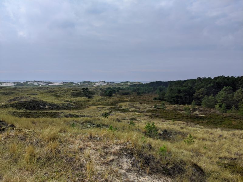 Weitblick Amrum Naturschutz Dünen