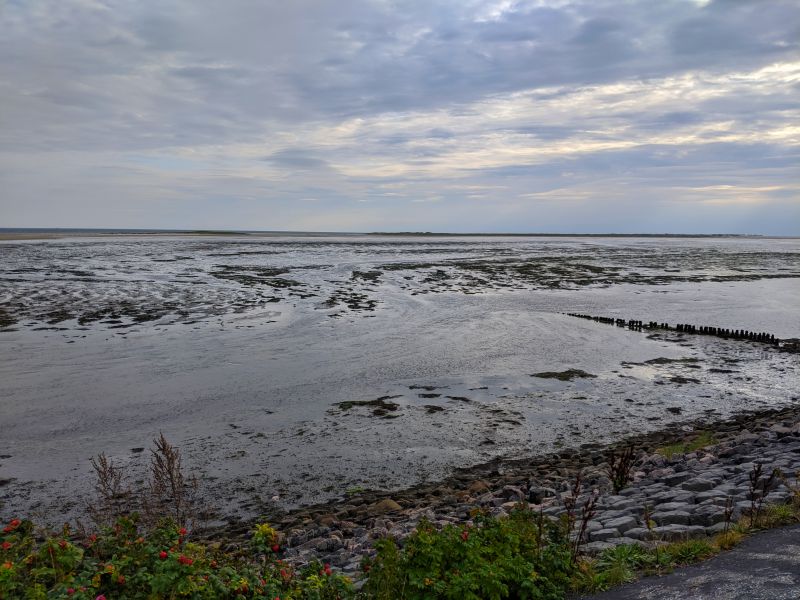 Deichblick Amrum Ebbe und Flut