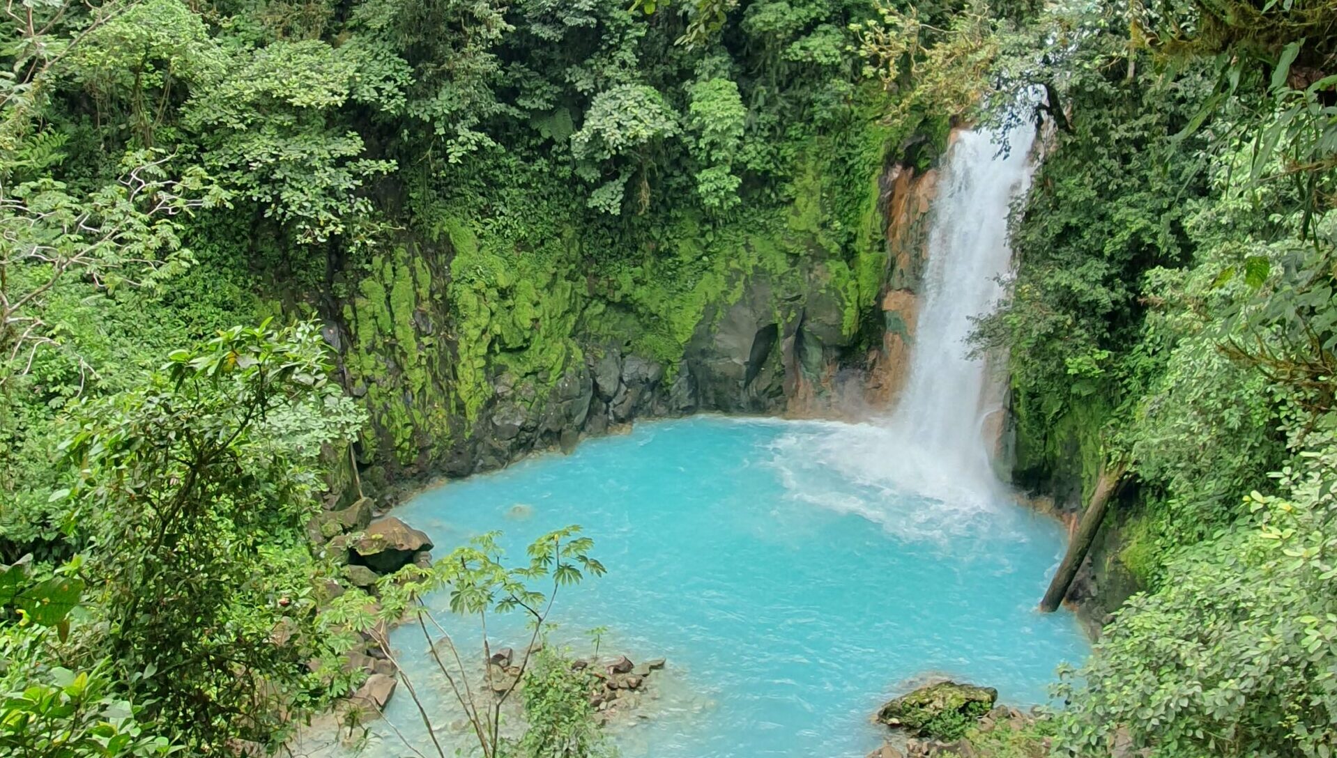 Nord- & Zentralamerika