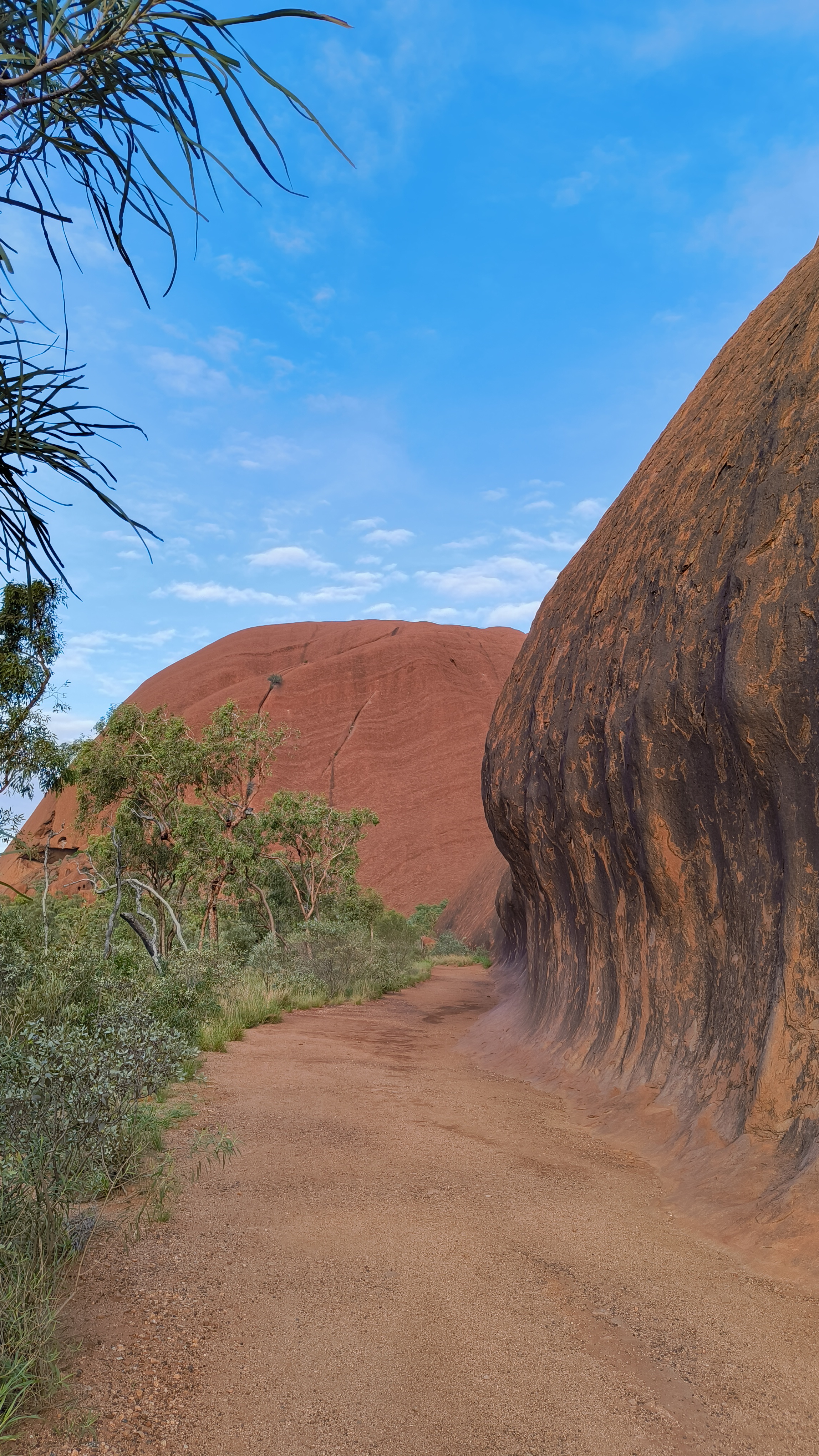 Outback Uluru Base Walk