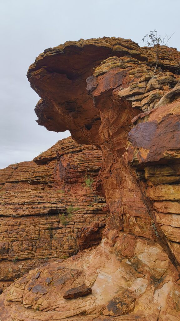 Kings Canyon Rim walk