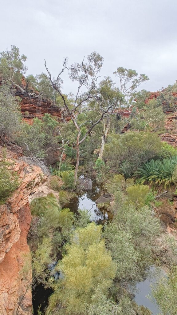 Kings CAnyon Garden Eden