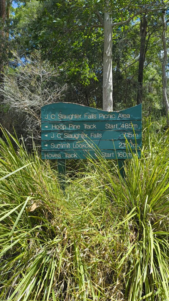 Mount Cootha Brisbane