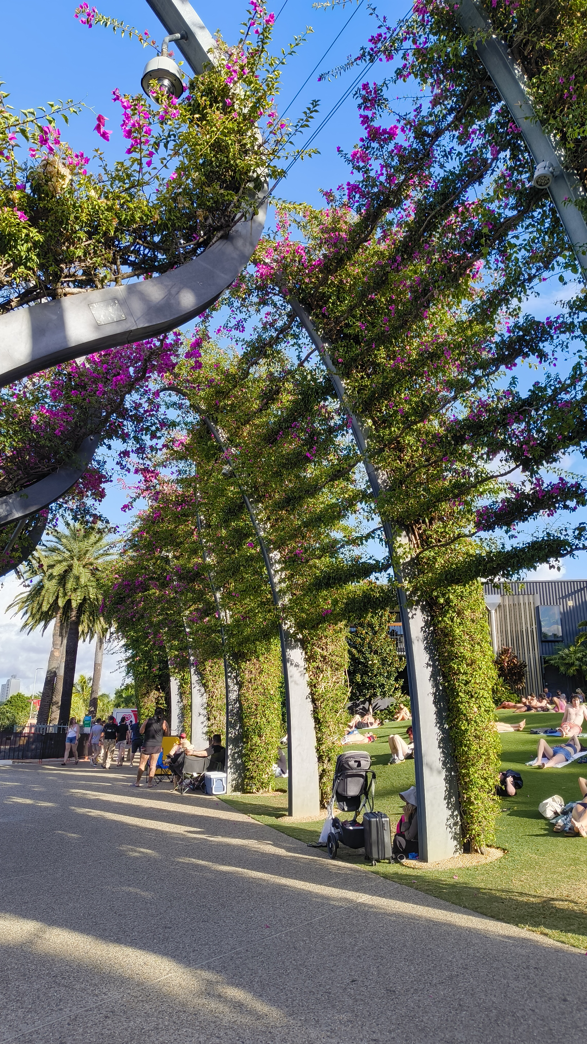 Brisbane Southbank Pflanzen