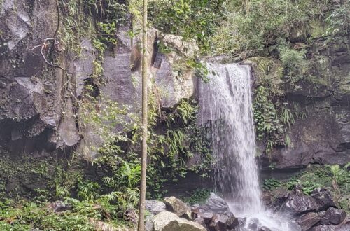 Curtis Falls Tamborine