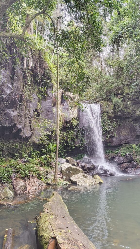 Curtis Falls Tamborine