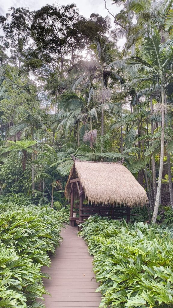 Tamborine Mountain Botanischer Garten